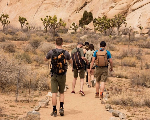 Snorkeler berenang di atas terumbu karang Raja Ampat